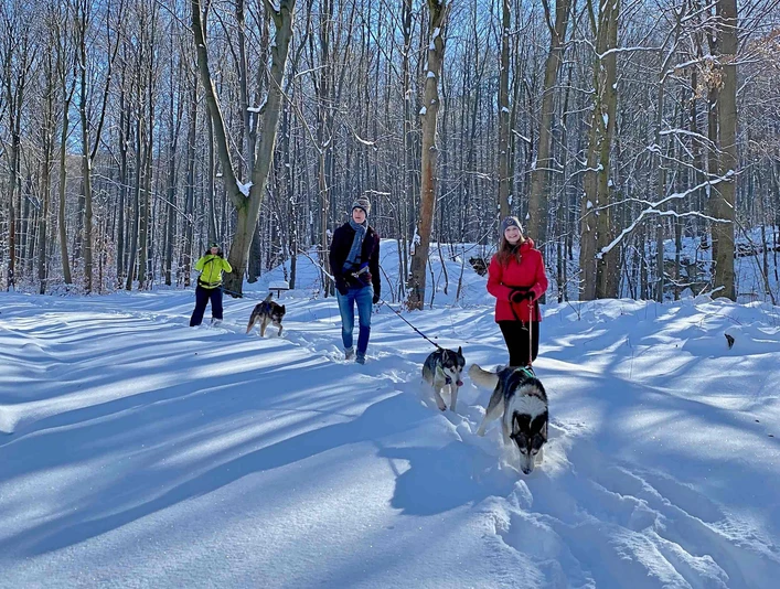 Husky-Trekking im Huy Husky-Trekking im Huy