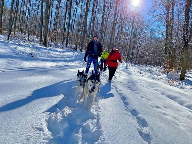 Husky-Trekking im Huy