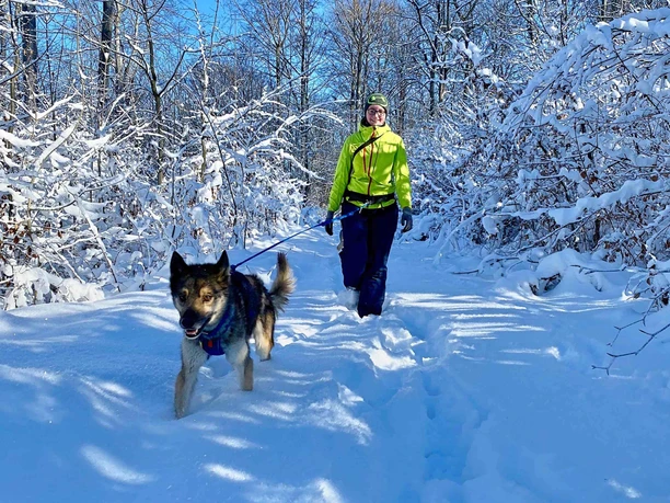 Husky-Trekking im Huy