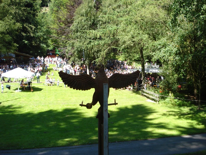 schuetzenfest-usseln-vogelschiessen c) schuetzenverein-usseln.jpg