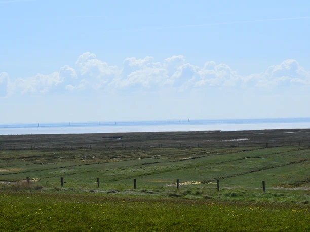 Ausblick-FeWo-Watt-Bill-25