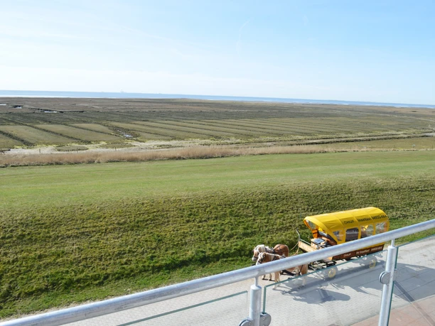Ausblick-FeWo-Wattenmeer-Bill-25