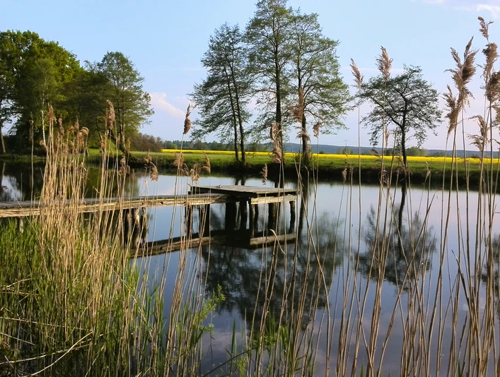 Zeetze bathing area Badestelle ZeetzeZeetze bathing areaZeetze badzone