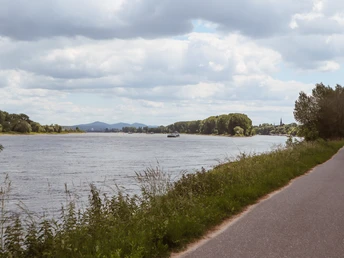Rheinradweg bei Borheim-Hersel