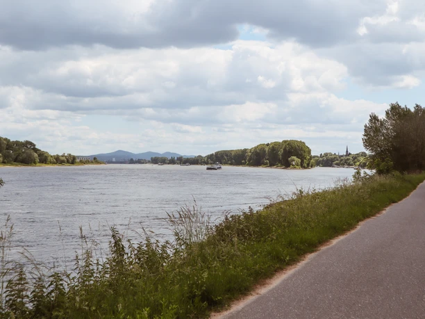 Rheinradweg bei Borheim-Hersel