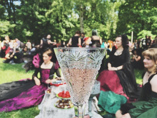 Viktorianisches Picknick - Wave Gotik Treffen Leipzig Viktorianisches Picknick beim Wave Gotik Treffen Leipzig