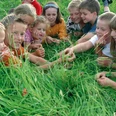 kinder-im-gras c) tourist-information-willingen.jpg
