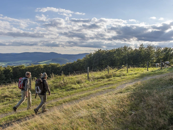 Zwei Wanderer vor toller Aussicht