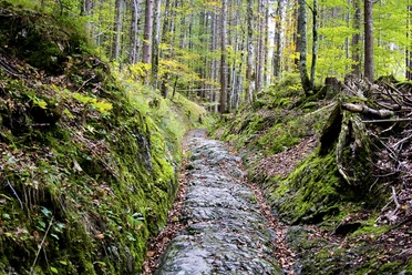 Via Raetia - Römerstraße bei Klais