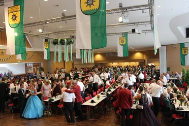 schuetzenfest-willingen-halle c) sven-schuetz-upland-tips.JPG