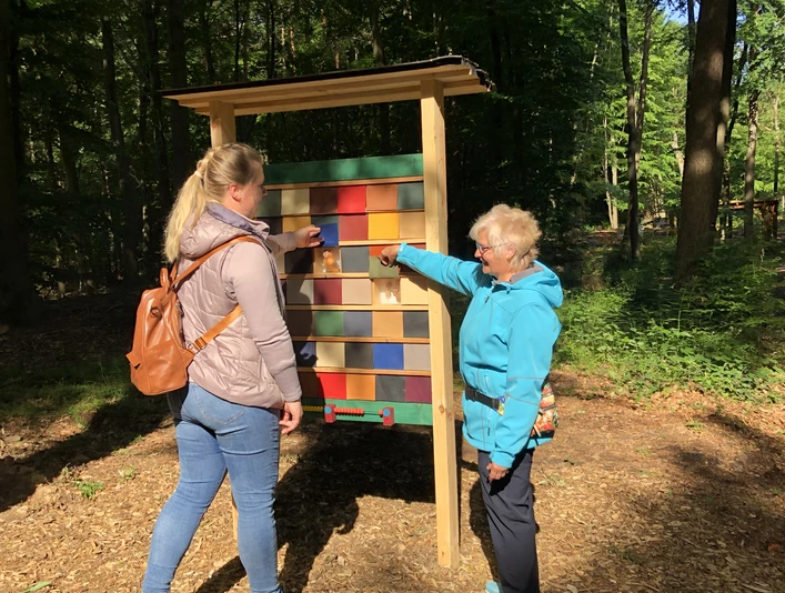 Walderlebnispfad Rehburg-Loccum Naturmemory