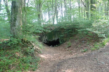 Zwergenloch Eingang einer kleinen Höhle im Wald, umgeben von hohen Bäumen und dichter Vegetation.