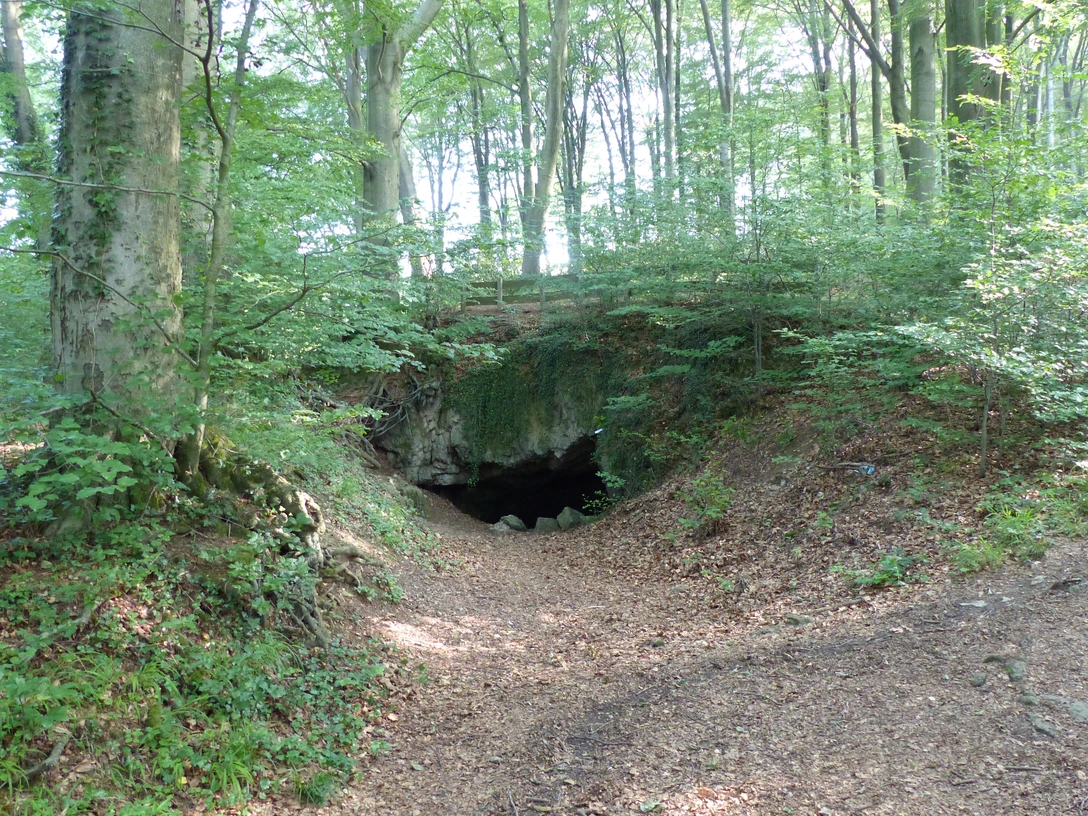 Zwergenloch Eingang einer kleinen Höhle im Wald, umgeben von hohen Bäumen und dichter Vegetation.