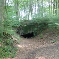 Zwergenloch Eingang einer kleinen Höhle im Wald, umgeben von hohen Bäumen und dichter Vegetation.