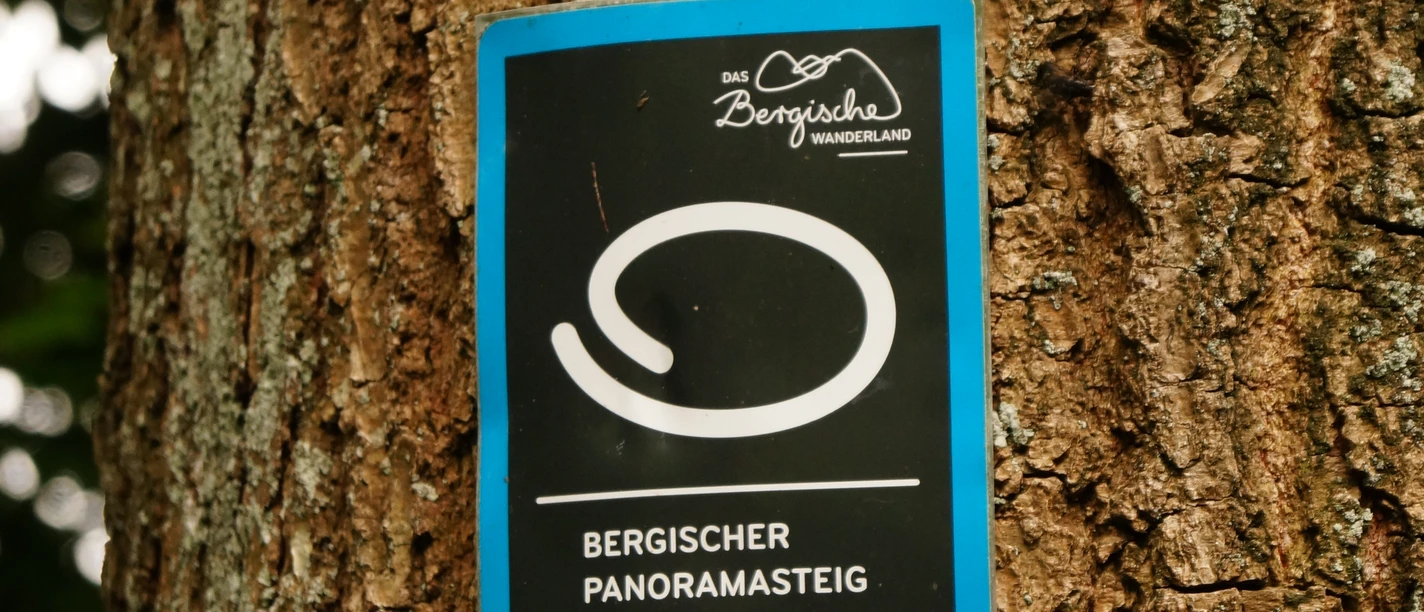 Zuweg Bergischer Panoramasteig <p>Ein Wegweiser für den Bergischen Panoramasteig ist an einem Baumstamm befestigt.</p>