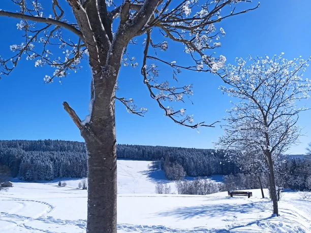 Werda Ski- und Rodelhang