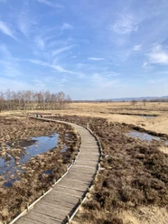 Hille - Großes Torfmoor Das Bild zeigt das Große Torfmoor