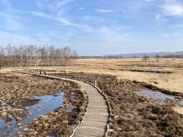 Hille - Großes Torfmoor Das Bild zeigt das Große Torfmoor