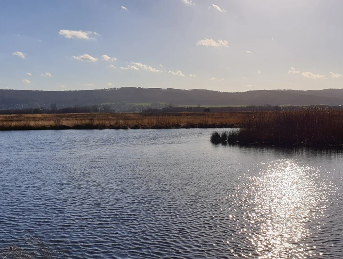 Hille - Großes Torfmoor Das Bild zeigt erneut das Große Torfmoor.