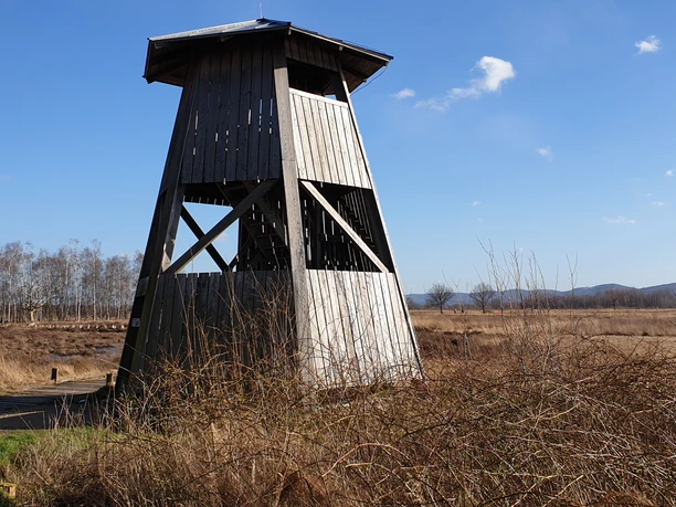 Hille - Aussichtsturm Großes Torfmoor Das Bild zeigt einen Aussichtsturm im Großen Torfmoor.