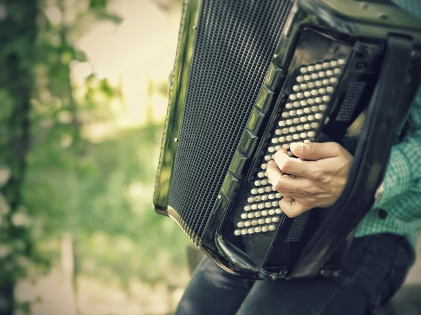 Ein Musiker spielt ein schwarzes Akkordeon, umgeben von grüner Natur im Hintergrund.