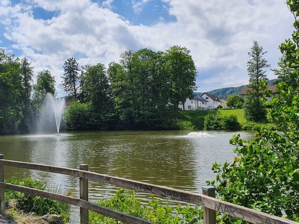 Großer Ententeich mit Fontänen im Stadtpark Bad Driburg.