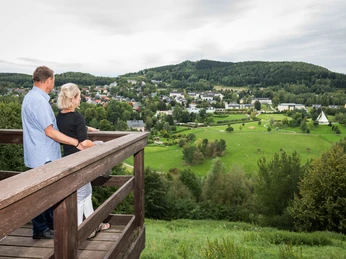 Blick auf Bad Schlema