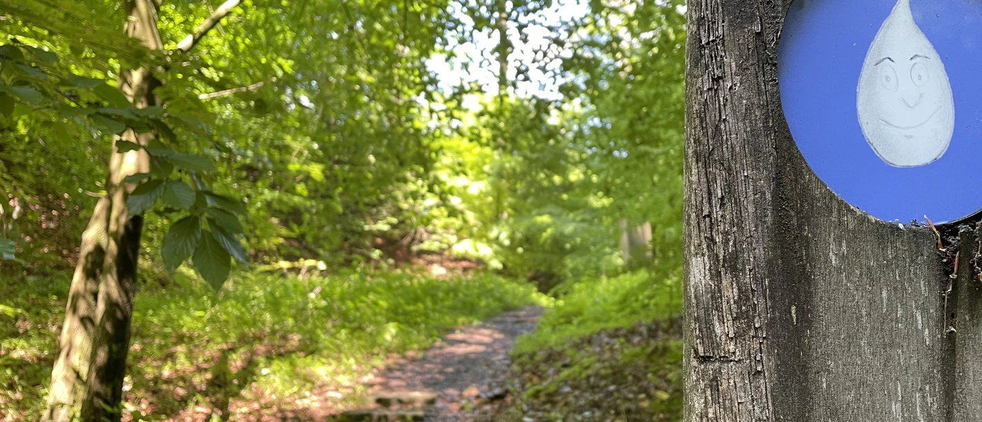 Bospad met groene bomen, wegwijzer op de voorgrond, zonlicht schijnt door bladeren.