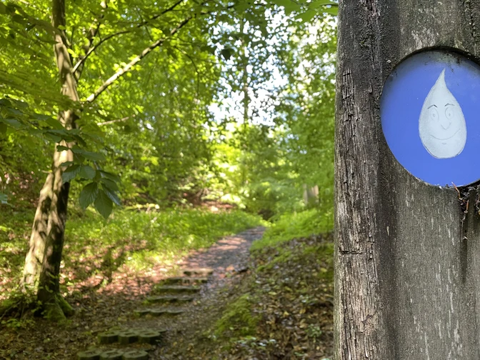 Waldweg mit grünen Bäumen, Wegweiser im Vordergrund, Sonnenlicht strahlt durch Blätter.
