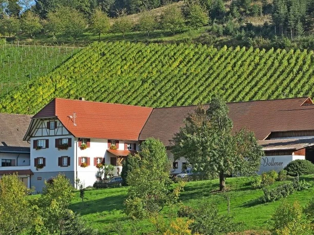 Bild Weingut Vollmer_komp