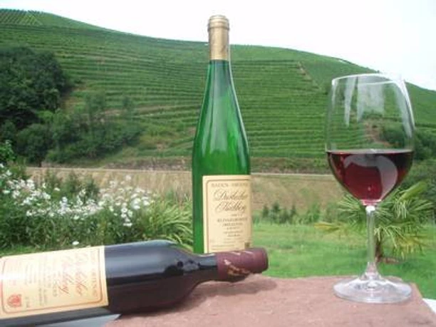 Bild Weingut Vollmer Weinparadies