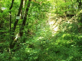 Salzgitter Höhenzug, Wanderweg 19 Schlucht