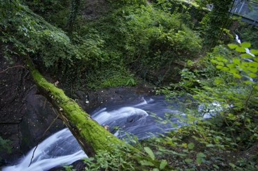 Laufbachwasserfälle bei Loffenau im Murgtal