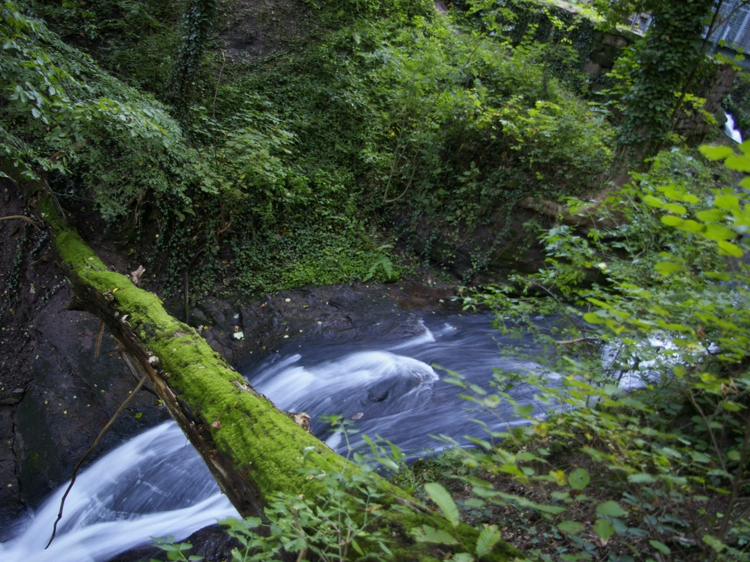 Laufbachwasserfälle bei Loffenau im Murgtal