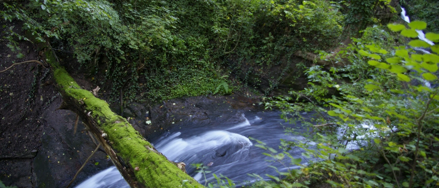 Laufbachwasserfälle bei Loffenau im Murgtal