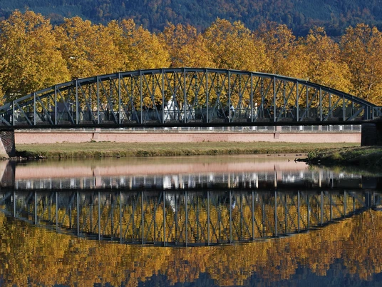 Platanen am Glasersteg_Foto Rainer Schulz