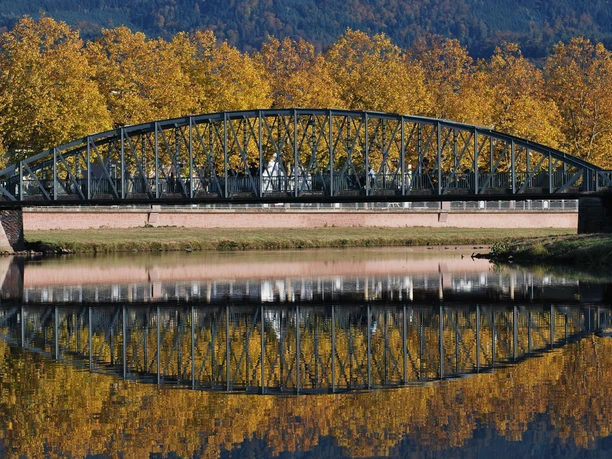 Platanen am Glasersteg_Foto Rainer Schulz
