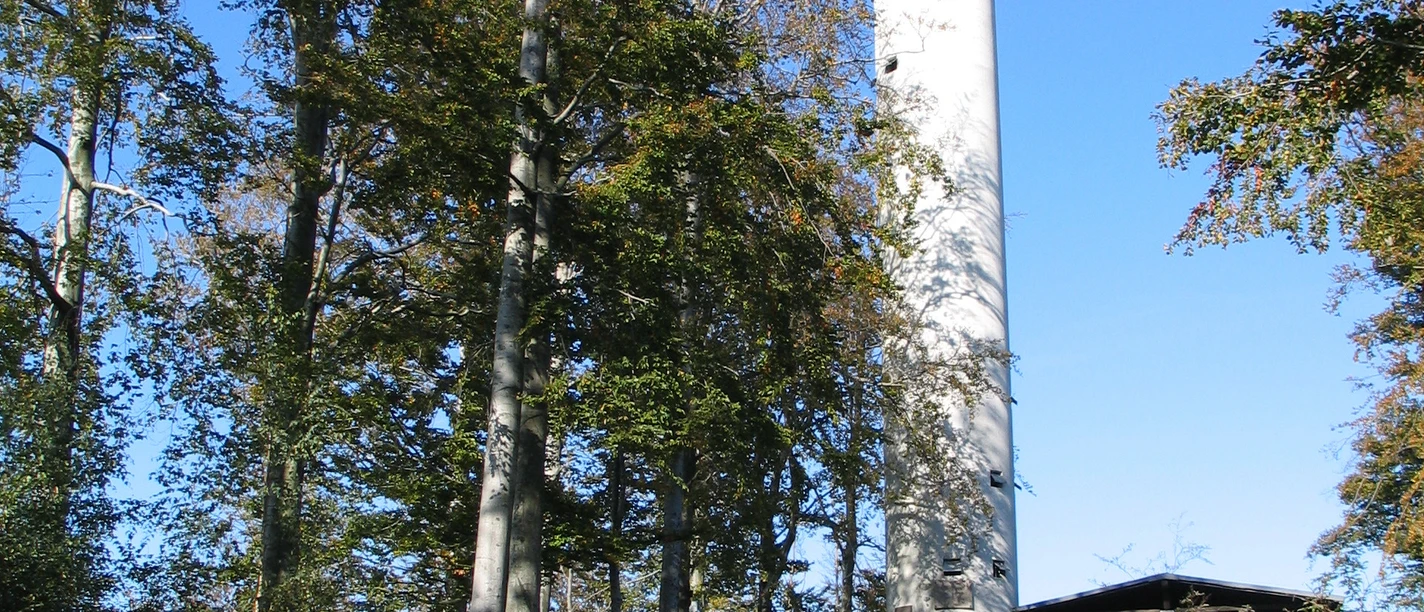 Mahlbergturm bei Gaggenau im Murgtal