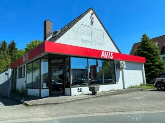 Avis1@stein.jpg