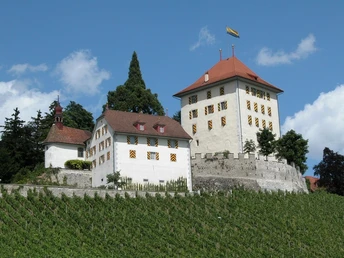Schloss Heidegg