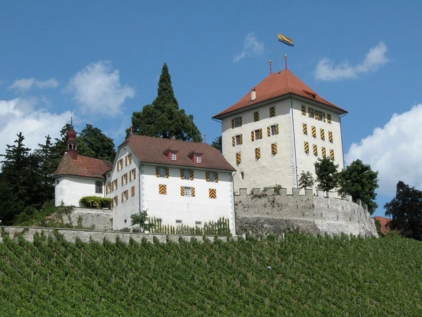 Schloss Heidegg