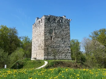 Burgruine Kastelen