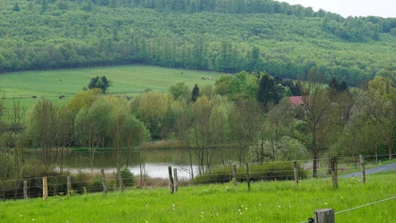 Blick ins Reitlingstal