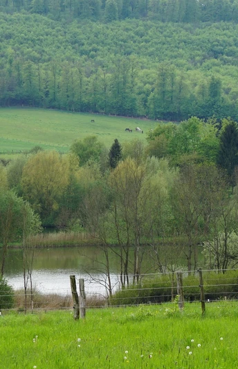 Blick ins Reitlingstal