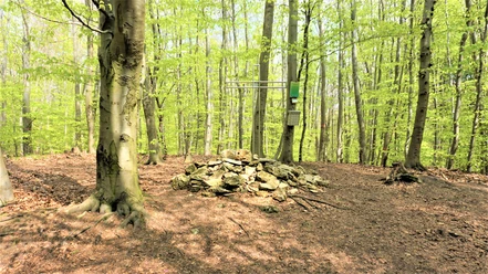 Gipfelkreuz auf dem Eilumer Horn