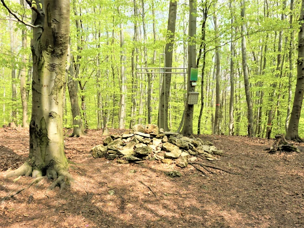 Gipfelkreuz auf dem Eilumer Horn