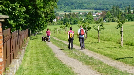 Am Rittergut Lucklum