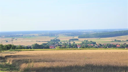 Blick auf Bornum