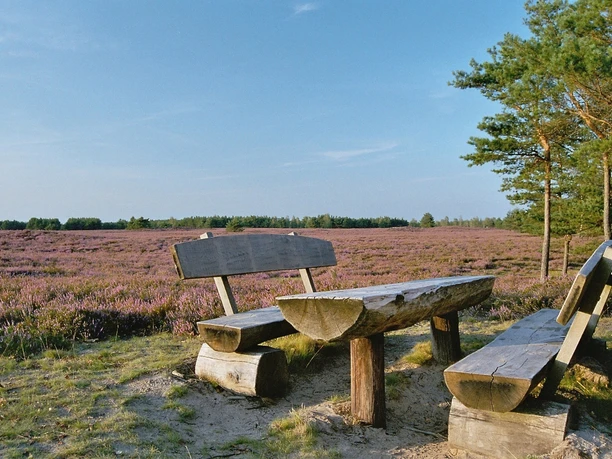 Rastplatz in der Nemitzer Heide