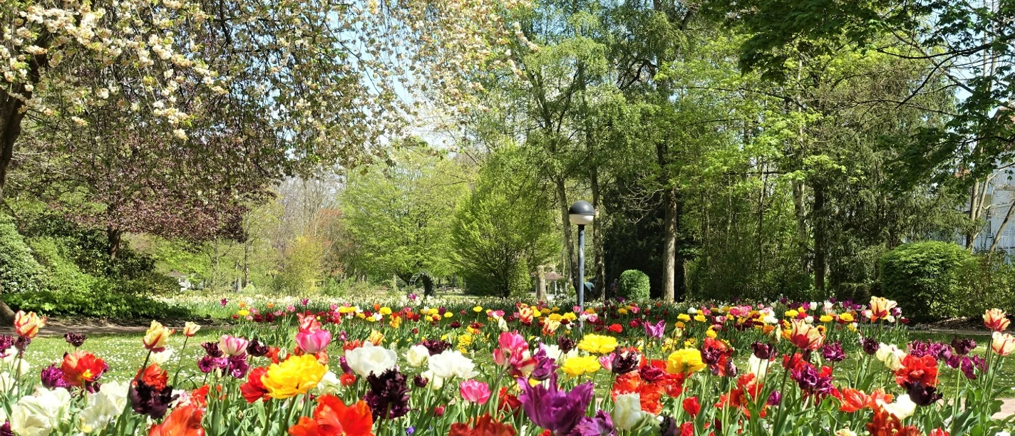 Kurpark Bad Salzdetfurth